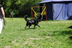 DSC_0771 (640x428)