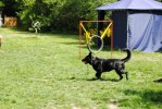 DSC_0788 (640x428)