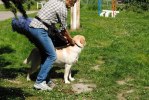 DSC_0796 (640x428)