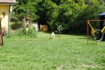 DSC_0797 (640x428)