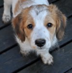Molly