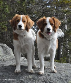 Anya och Zally