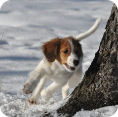Anya i flygande fläng!
