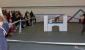 IMG_8448