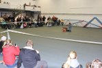 IMG_8532