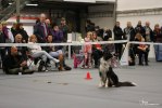 IMG_8626