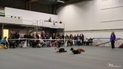 IMG_8628