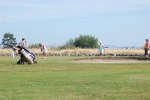 DSC_1398 (800x532)