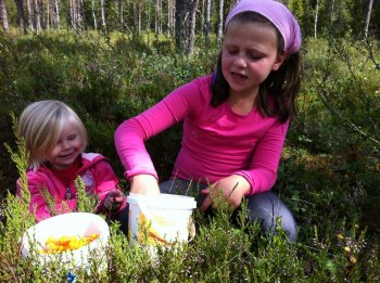 Foto: Lina Johansson