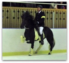 Eyvi & Seidur på istölten, 2011