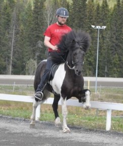 Hjalti & Seidur, maj 2011 foto.Camilla Hed