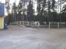 Rasthagarna utanför stallet