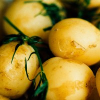 potatis