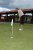 DLP Golf
