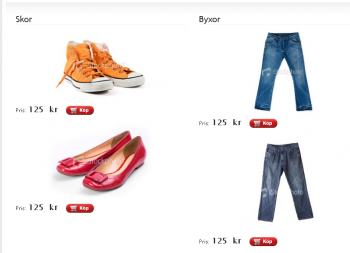En småskalig fiktiv webbshop
