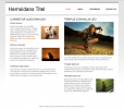 wireframe_agency_preview
