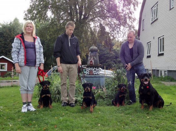Från vänster: Of Course It's Best in show Bim-Bim, Of Course It's Benzin, Of Course It's Bechira och mamma KORAD Allimacstorpets Froja