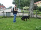 Of Course It's Araz Jr letar godis i "rutan" med husse