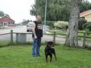 Of Course It's Araz Jr med husse
