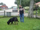 Of Course It's Araz Jr letar godis i "rutan" med husse