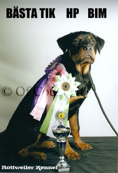 Of Course It's Best in show Bim-Bim