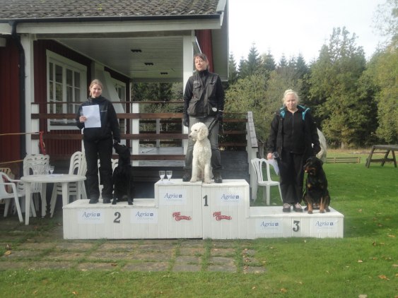 Allimacstorpets Froja 3:e placering Lydnad klass I