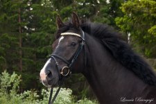 Clara, foto: Linnéa Brengesjö