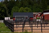 foto: Linnéa Brengesjö