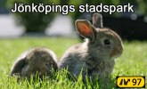 stadspark