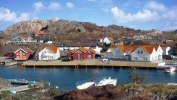 Tjörn