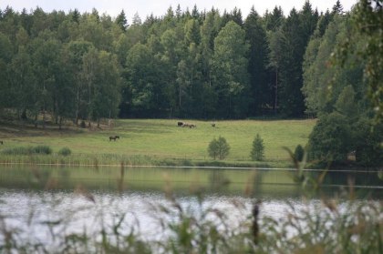 Sommarhage