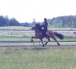 Johanna och Smári i pass, bedömning Strömsholm 2011