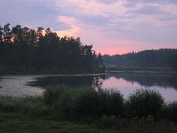 Utsikten