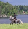 Maffiga vyer, Mörtsjötorp skymtas i bakgrunden