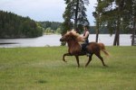 Glädje är att få tölta på islandshäst i vacker miljö!