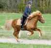 galopp