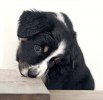 Ida Kucera 6