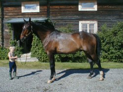 Arambay och Simon.