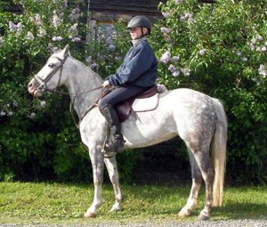Cayenne III och Albin.