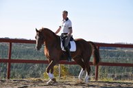 Peter Norlander rider Daimler sommaren 2011.