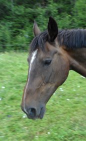 Sommaren 2011.