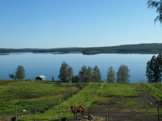 Vy från köksfönstret.