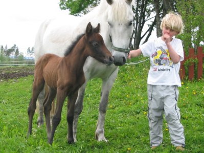 Simon med ponny Molly Bay och Lamborgini Bay.
