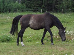Sommaren 2011.