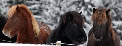 Foto: Malin Lundberg