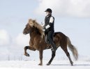 Arnar2