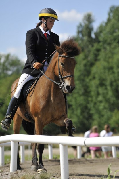 Vordis frá Hofi 1, SM 2011