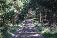skog1
