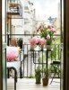 imagesCAKIA432