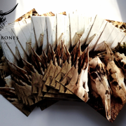10 Postcards: Row of the unreborn - Sana an ni'kalyndua'n 